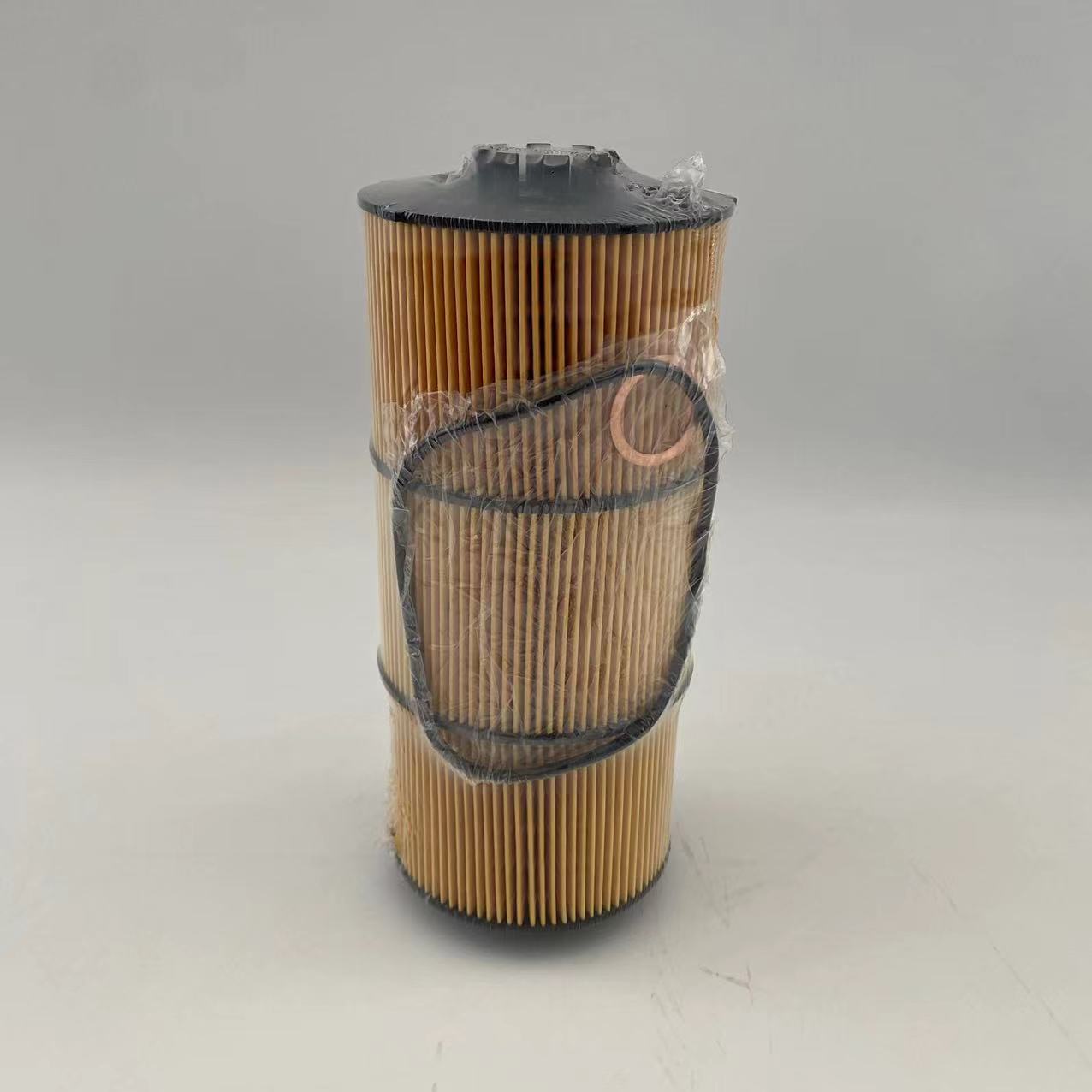 Filter oli A4711800209/P582506/WL10663/LF17810 untuk Freightliner