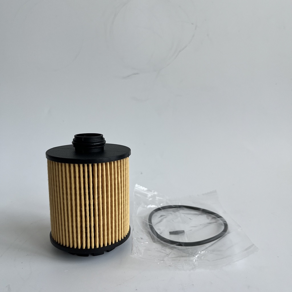 HU7043Z 1612565980 Filter oli untuk petgeot