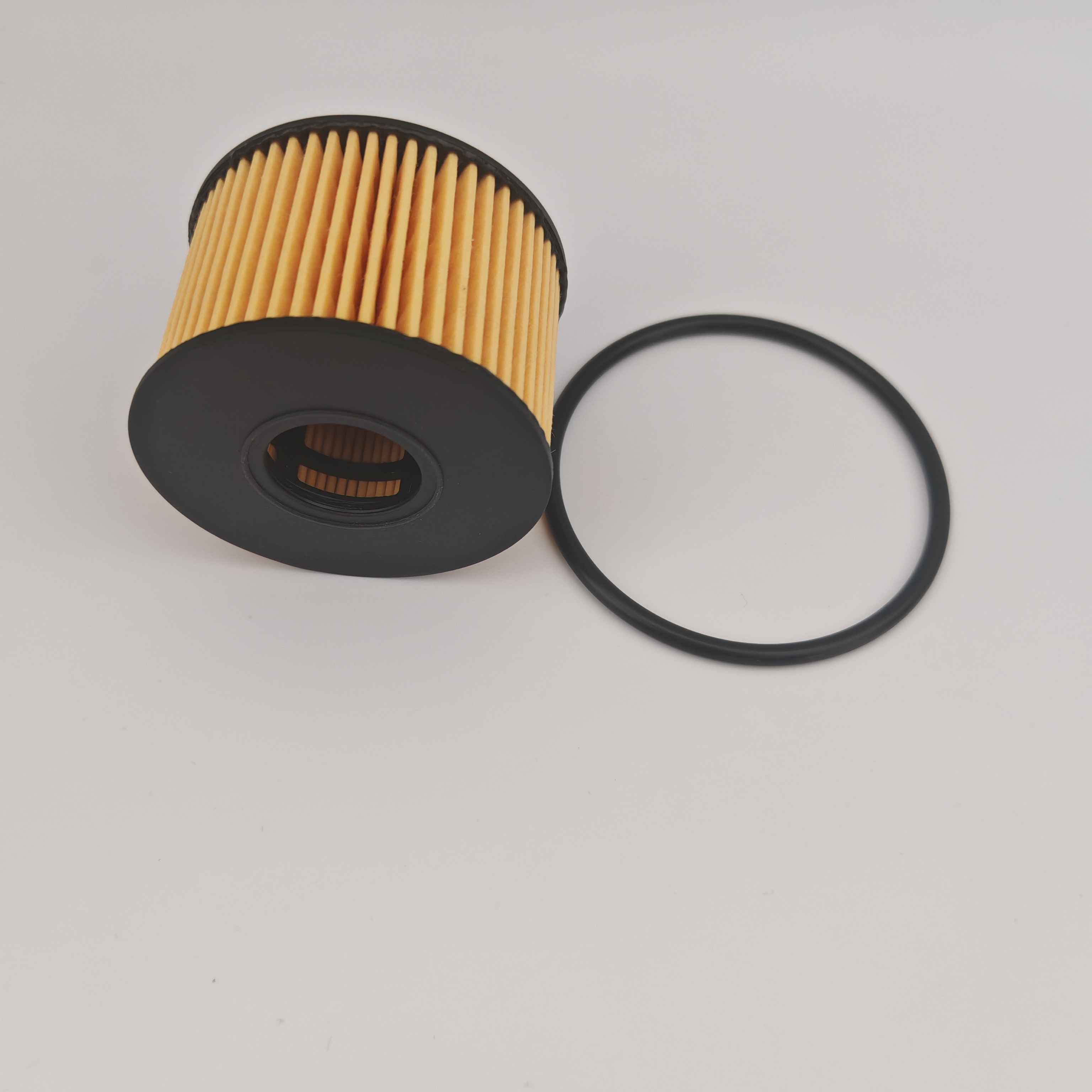 MS1-6744-AA OX1243D FOH5013 Filter oli untuk JMC