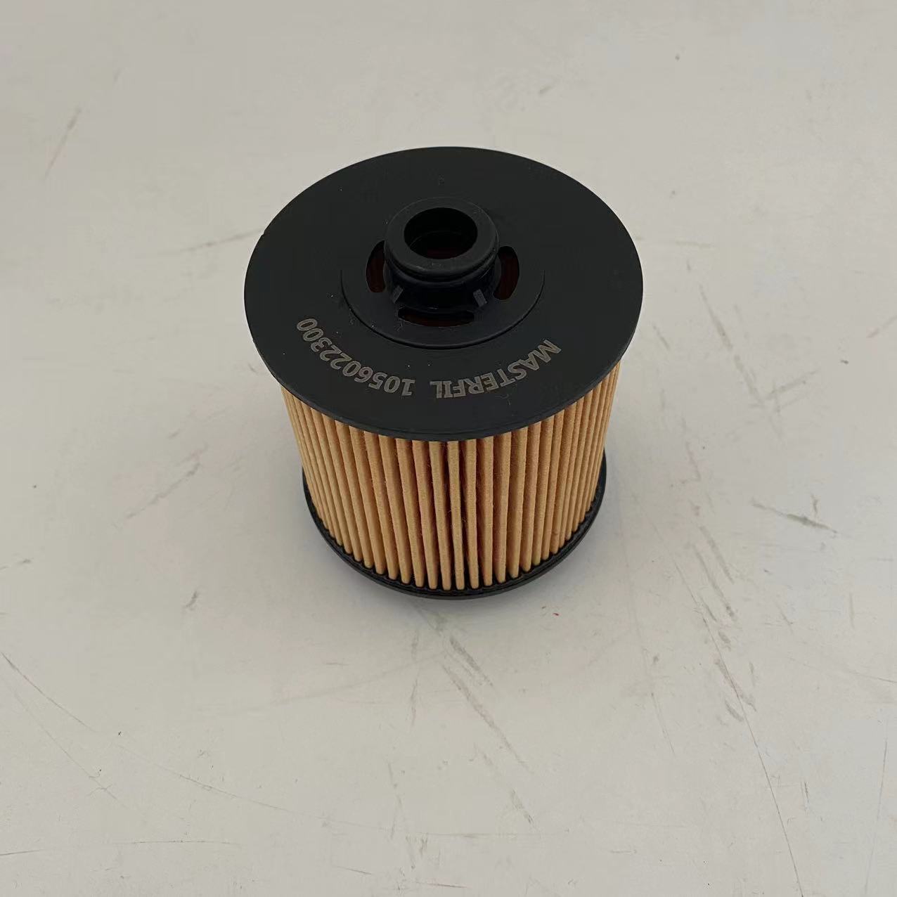 Filter oli 1056022300